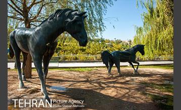 بوستان جوانمردان 7