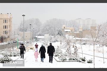 روز برفی در منطقه 5 9