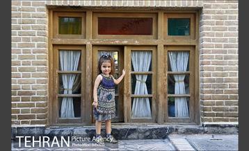 خانه موزه دکتر معین تهران 18