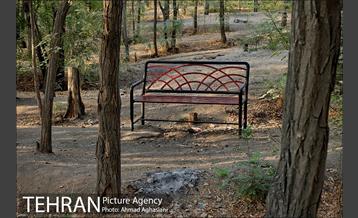 پارک جنگلی چیتگر 26