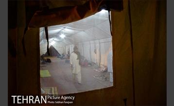 موکب سازمان بهشت زهرا (س) 3