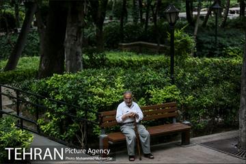 شهرنگار؛ باغ ایرانی 7