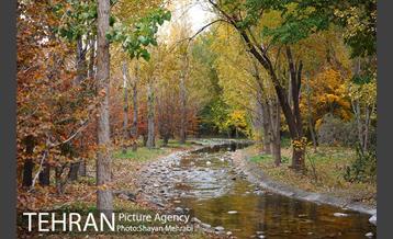 باغ گیاه‌شناسی ملی ایران 21