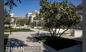 بوستان بخشی فر 11