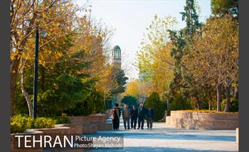 پاییز باغ موزه قصر 26