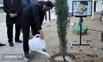 جشن درختکاری در منطقه 18 5