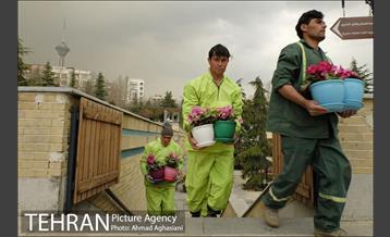 آیین درختکاری در بوستان گفتگو 6