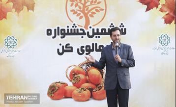 ششمین جشنواره خرمالو 13