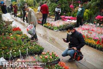 بازار گل و گیاه غرب تهران در آستانه نوروز 11