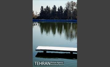 پاییز برفی پارک ملت 7