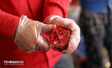 جشنواره انار «صد دانه یاقوت» 5