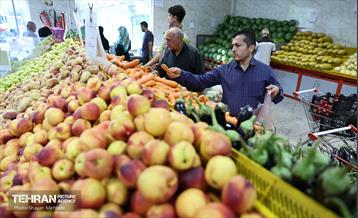 تور بازدید از میادین و بازارهای میوه و تره‌بار شهرداری تهران 52