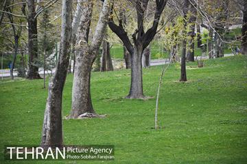 روز طبیعت متفاوت شهر تهران-1 20