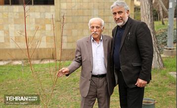 کاشت درخت توسط هنرمندان در فرهنگسرای نیاوران 7