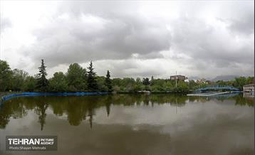 بارش باران بهاری در تهران - 2 50