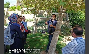 تور عکاسی طبیعت و شهر 7