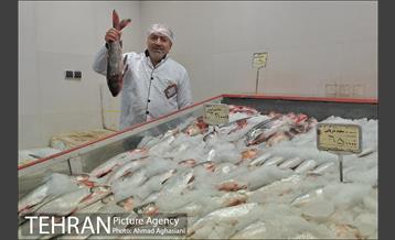 میدان میوه وتره بار شهید غیبی شهرری 28