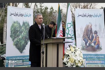 جشن درختکاری در منطقه ۵ 24