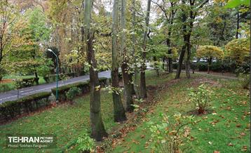 طبیعت پاییزی مجموعه فرهنگی تاریخی سعدآباد  19