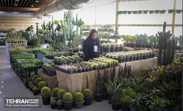 آیین افتتاحیه بیستمین نمایشگاه بین المللی گل و گیاه 29