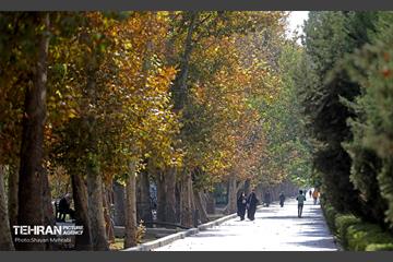 بوستان قائم 19