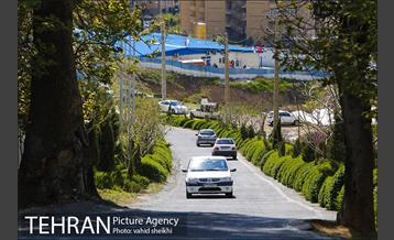 بوستان جنگلی کوهسار 2