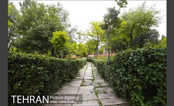 بوستان پلیس 5