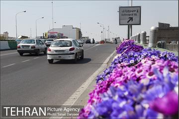 گل آرایی پل سیدخندان 25