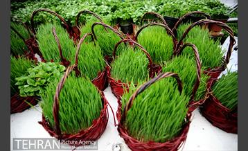 بازار تجریش در آستانه عید نوروز 4