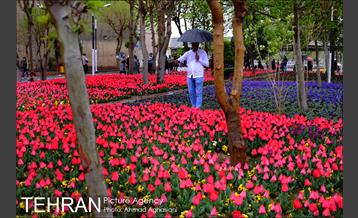 جشنواره لاله‌ها در بوستان زندگی محله هرندی 20
