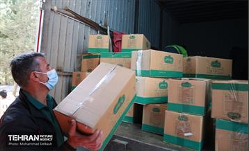 آغاز طرح وقت مهربانی  3