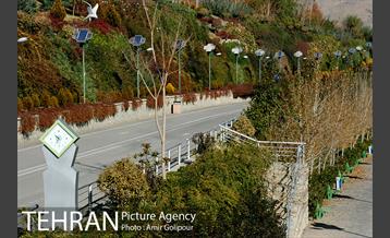 پاییز رنگارنگ بوستان جوانمردان ایران 32