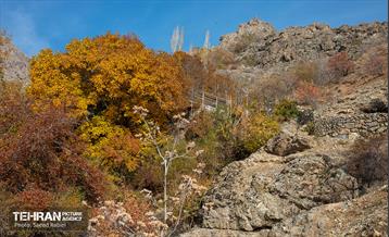 سمفونی رنگ های پاییزی - دربند 26