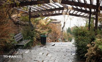 یک روز پاییزی در منطقه 22 10