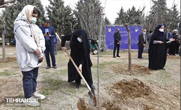 غرس ١٠٠ اصله نهال در دریاچه شهدای خلیج فارس با حضور خانواده شهدای هم محله‌ای 21