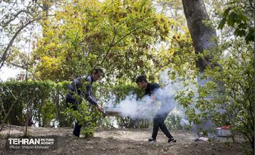 روز طبیعت در بوستان ملت 32