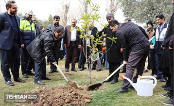 غرس ۱۱۰۰ نهال در منطقه ۱۱ 7