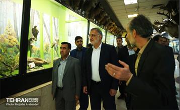 بازدید شهردار تهران از مجموعه پارک پردیسان 25
