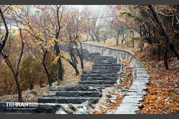 یک روز پاییزی در منطقه 22 12