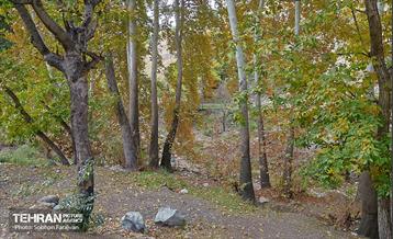 ­اکوپارک رود دره فرحزاد 47