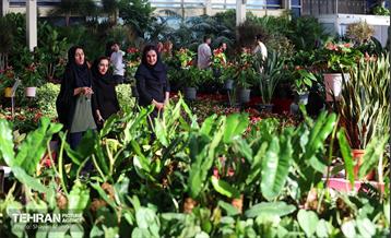 بیستمین نمایشگاه بین‌المللی گل و گیاه 39