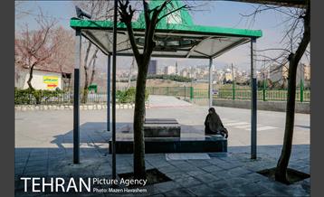 آستان مقدس امامزادگان عینعلی و زینعلی 14