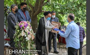 سومین دوره جشنواره توت کن 31