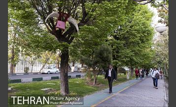 بلوار کشاورز 26