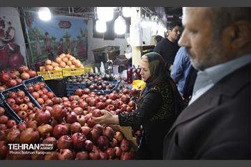 یازدهمین جشنواره صد دانه یاقوت 11