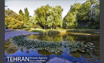 باغ گیاه شناسی ملی ایران  17