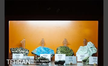 موزه علوم زمین 25