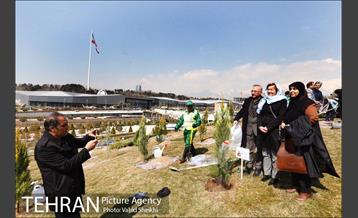 آیین کاشت درخت صلح و دوستی 41