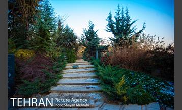 پاییز اراضی عباس آباد 19