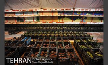 بازدید قائم مقام معاونت اجتماعی و جعمی از هنرمندان از سرای امید طلوع 34